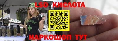 стафф Пенза