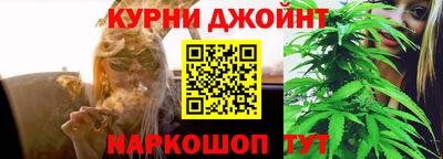 стафф Пенза