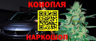 стафф Пенза