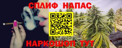 стафф Пенза