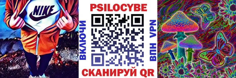 сколько стоит  Нурлат  kraken ТОР  Псилоцибиновые грибы Cubensis 
