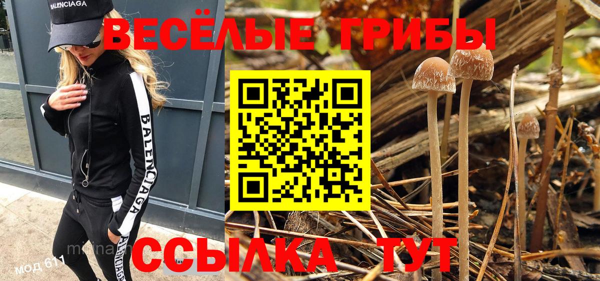 Псилоцибиновые грибы Magic Shrooms  где найти наркотики  Псилоцибиновые грибы ЛСД  Нурлат  Вход с VPN 